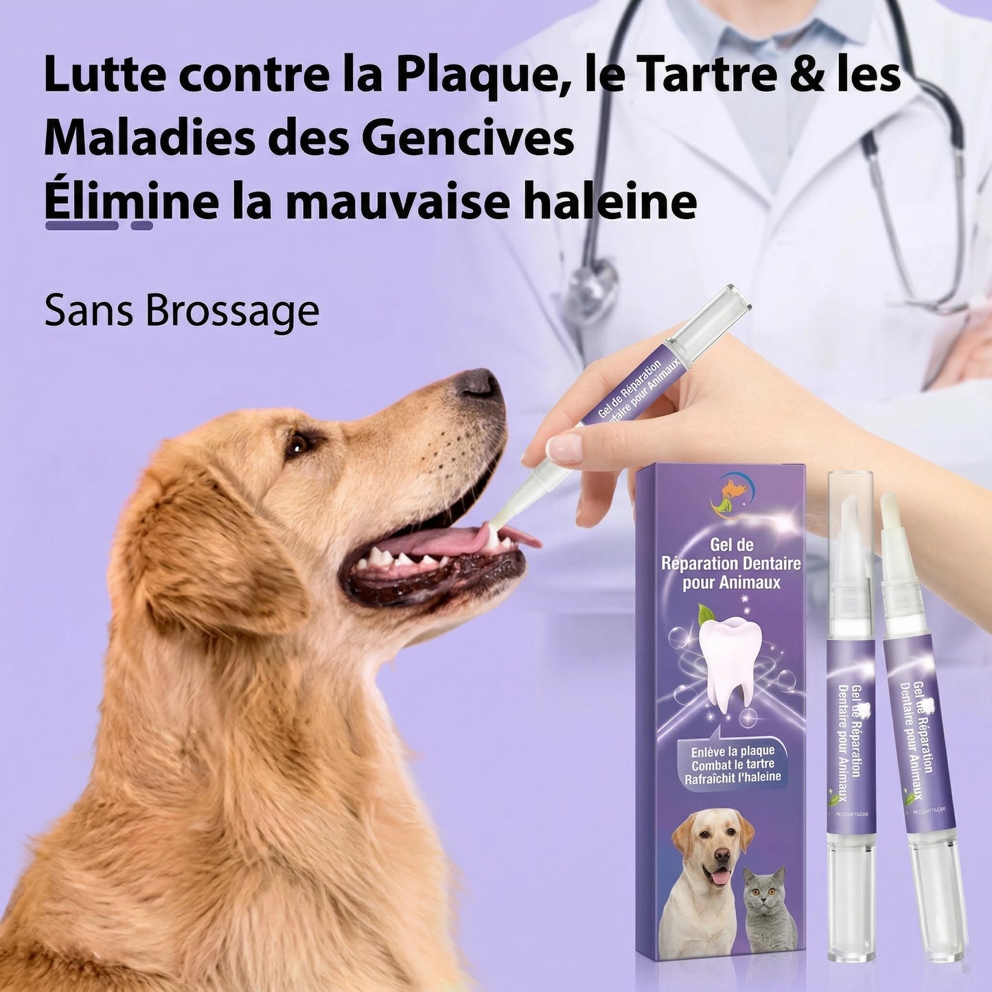 Visuel publicitaire montrant l'application du gel dentaire sur un chien sans brossage, avec un texte soulignant l'élimination de la mauvaise haleine et du tartre.