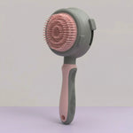 Brosse Rotative Chien