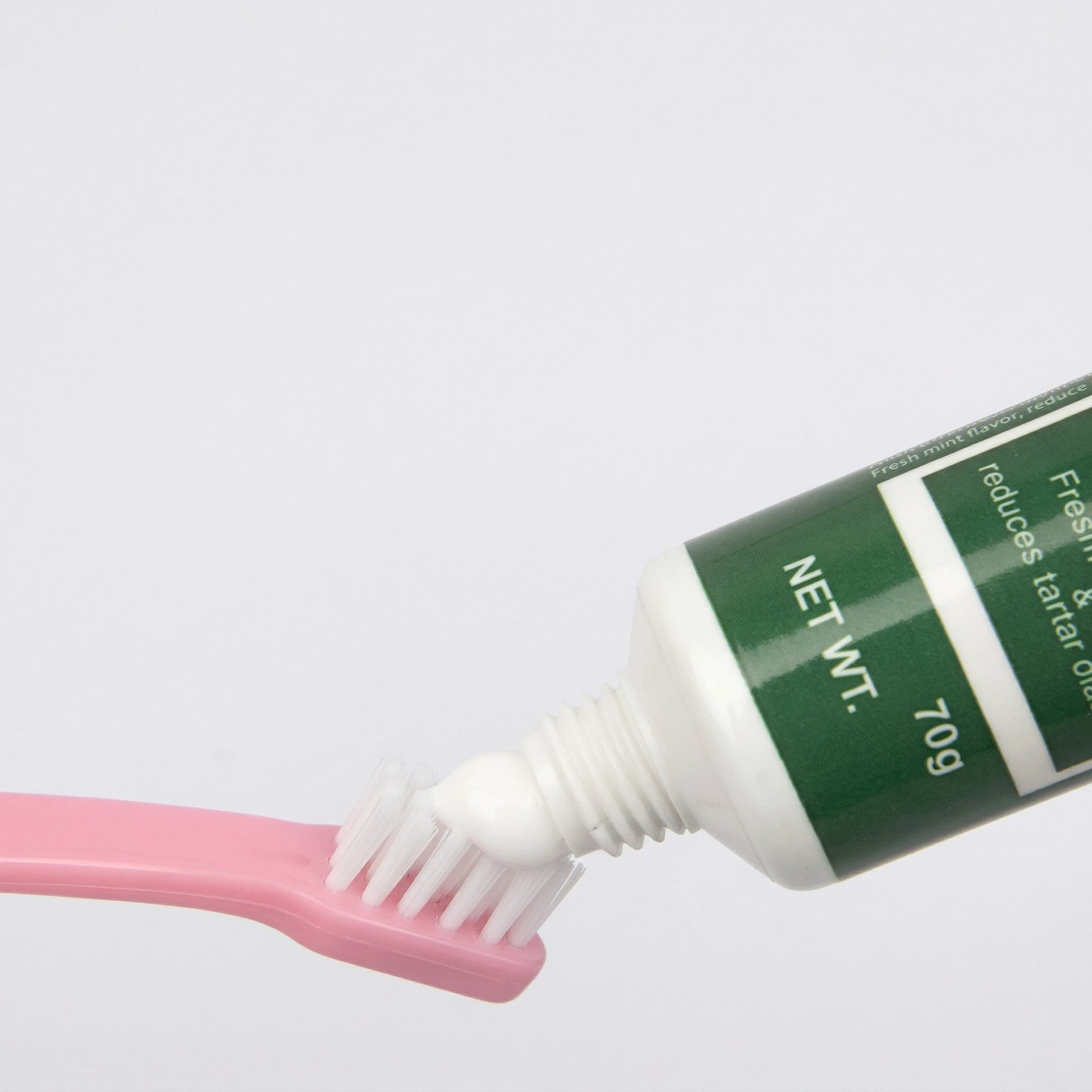 Gros plan montrant l'application d'une noisette de dentifrice blanc depuis un tube vert de 70g sur les poils d'une brosse à dents rose pour animaux.