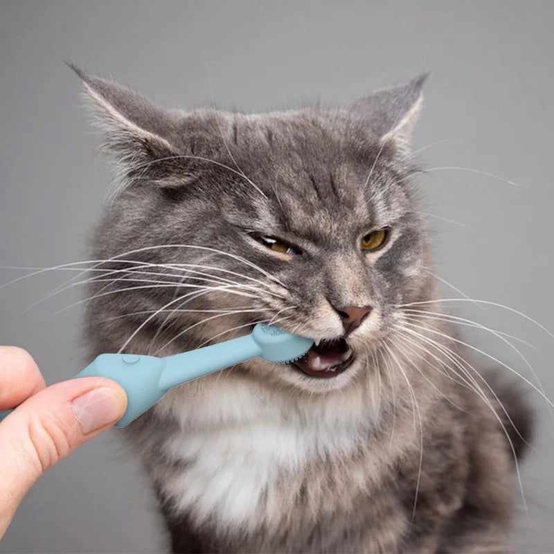 Main tenant une brosse à dents en silicone bleu en forme de poisson pour nettoyer les dents d'un chat gris à poils longs.