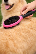 Brosse double face rose utilisée sur le pelage d’un chien pour démêler et retirer les poils morts en douceur