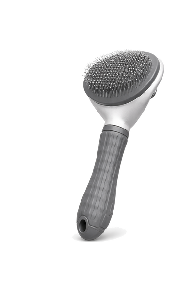 Brosse à picot