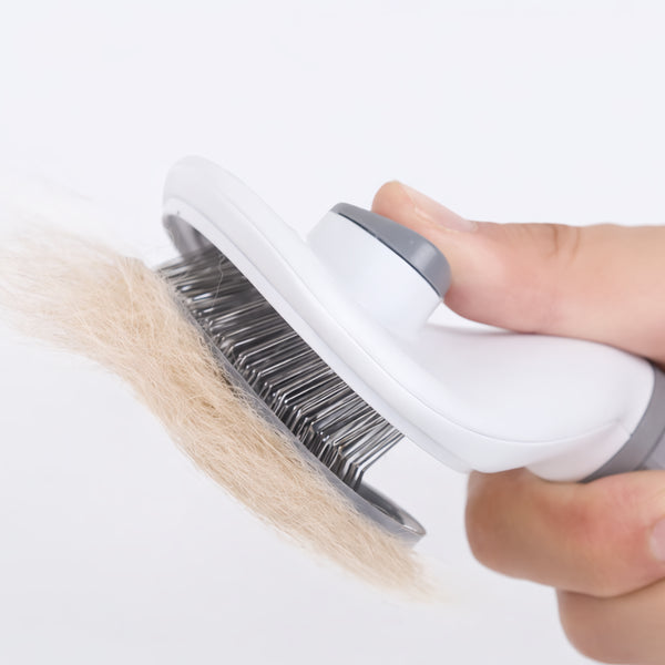 Brosse à picot — vue 2