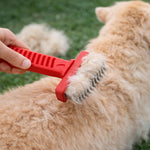 Brosse pour chien retirant les poils morts avec dents en acier utilisée sur pelage dense en extérieur

