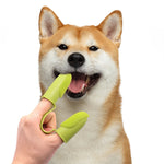 Chien se faisant brosser les dents avec une brosse à doigt double en silicone verte