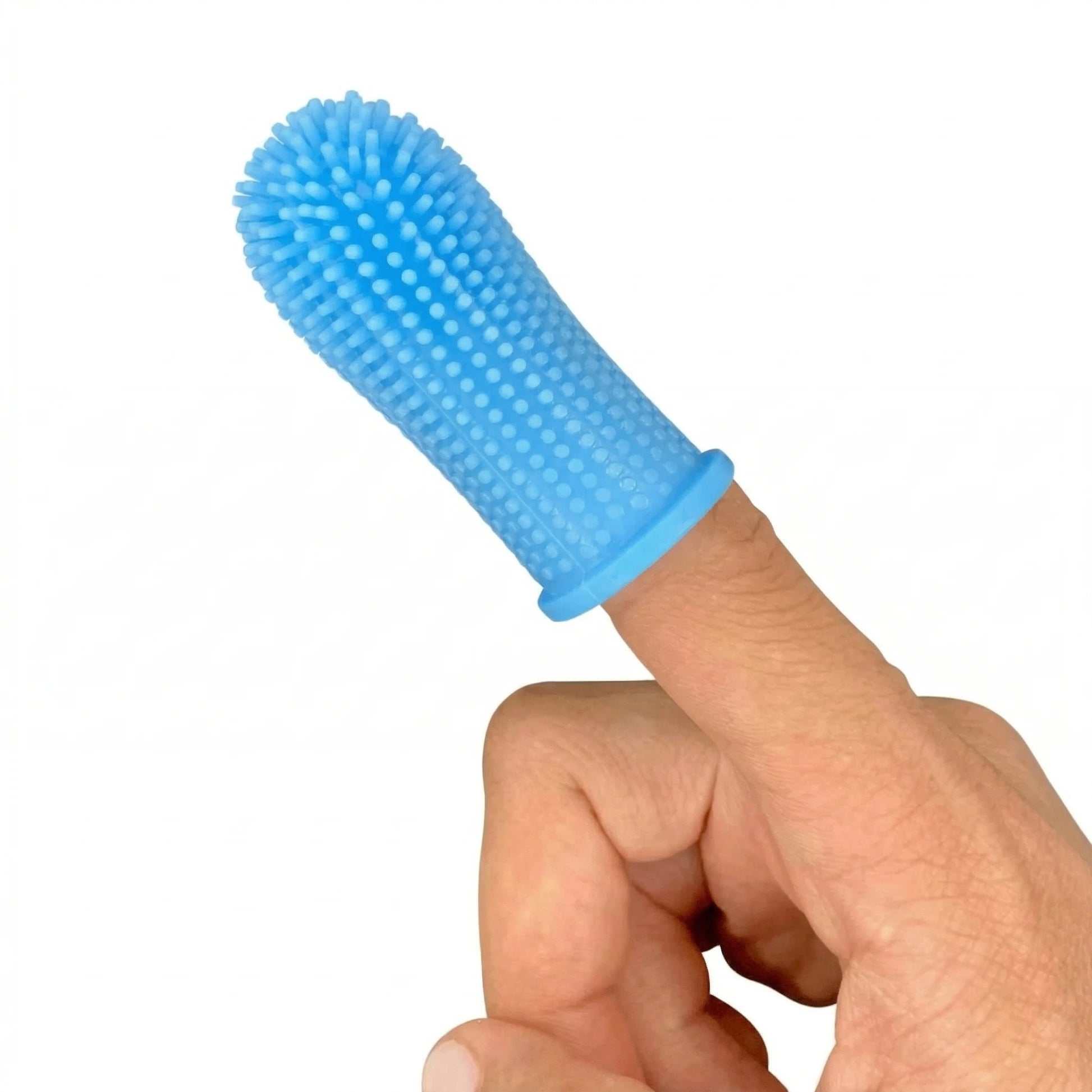 Brosse à dents doigt en silicone bleu utilisée sur un doigt pour nettoyage dentaire chien et chat