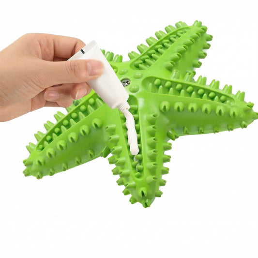 Main appliquant du dentifrice pour chien dans les rainures d'un jouet à mâcher en forme d'étoile de mer verte à picots massants, fond blanc.