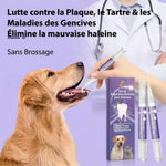 Visuel publicitaire montrant l'application du gel dentaire sur un chien sans brossage, avec un texte soulignant l'élimination de la mauvaise haleine et du tartre.