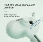 Brosse Peigne Chien