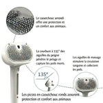 Brosse Peigne Chien