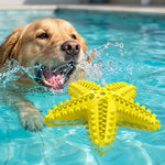 Chien Golden Retriever s'amusant dans une piscine avec le jouet étoile de mer jaune flottant, éclaboussures d'eau, concept de jeu aquatique et hygiène dentaire.