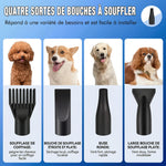 Guide comparatif des quatre buses de séchage pour pulseur : embout peigne, buse plate étroite, buse ronde puissante et large bouche plate, adaptés à différentes races de chiens.