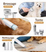 Kit de toilettage pour chien avec aspirateur montrant brossage quotidien, tonte mensuelle et nettoyage des poils à la maison