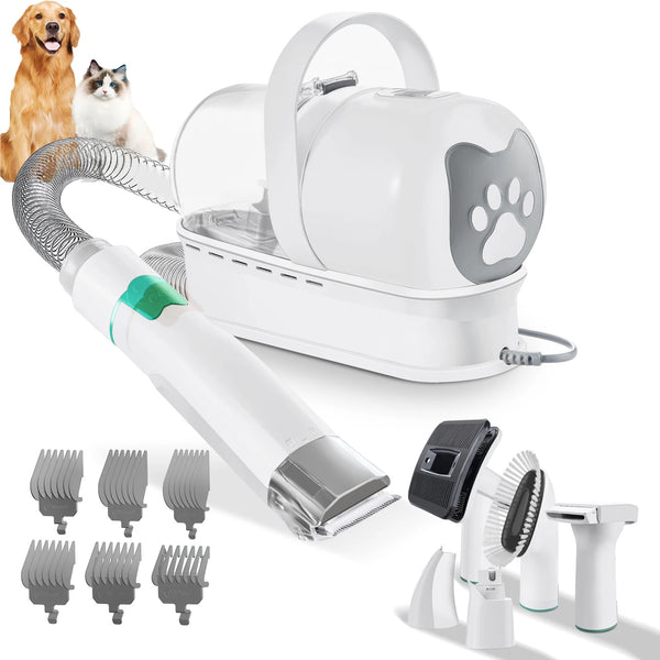 Kit de toilettage pour chien avec aspirateur, tondeuse et accessoires de brossage pour animaux domestiques