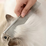 Main utilisant un peigne métallique professionnel pour brosser délicatement le contour de l'œil et le pelage blanc d'un chat à poils longs.
