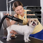 Toilettage à domicile : femme utilisant le séchoir pulseur professionnel sur un petit chien blanc et brun, affichant les performances de 2800W, 100m/s de vitesse de vent et température jusqu'à 65°C.v