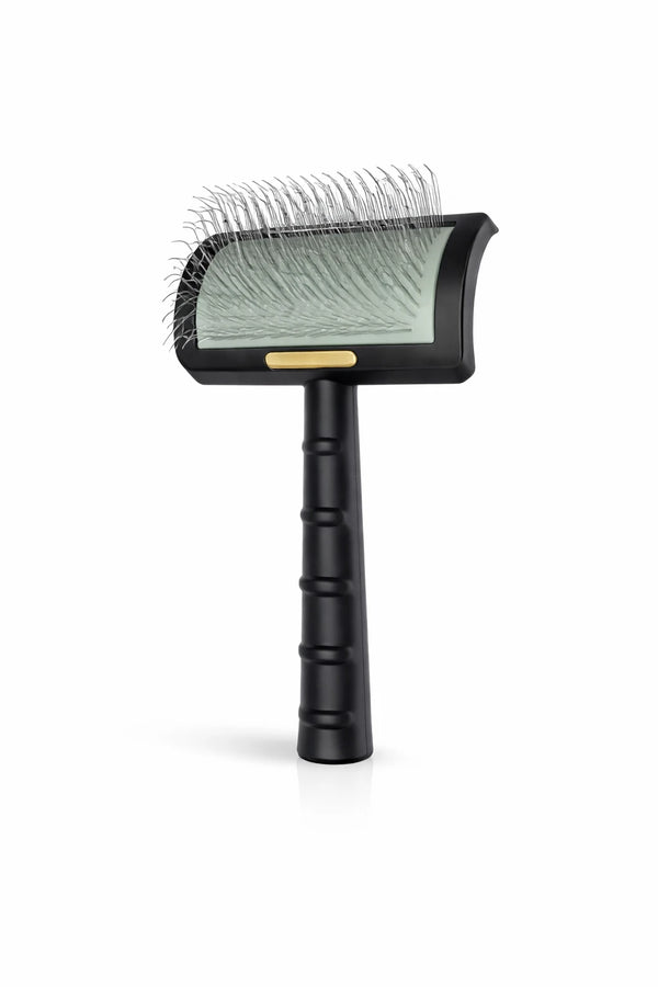 Brosse Chien Carde — vue 2