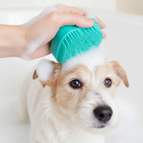 Brosse Douche — vue 2