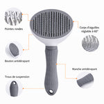 Brosse à picot