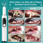 Détartreur dentaire ultrason pour chien et chat avec kit complet accessoires nettoyage dents