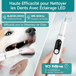 Détartreur dentaire ultrason pour chien avec éclairage LED et nettoyage anti tartre efficace