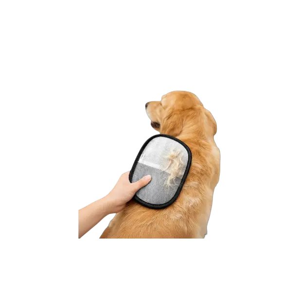 Gant anti poils utilisé sur un chien pour enlever efficacement les poils morts et nettoyer le pelage en douceur