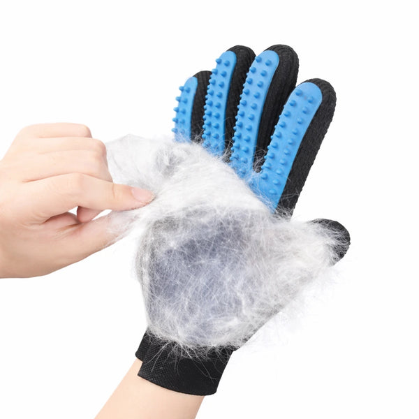 Brosse Chien Gant — vue 2