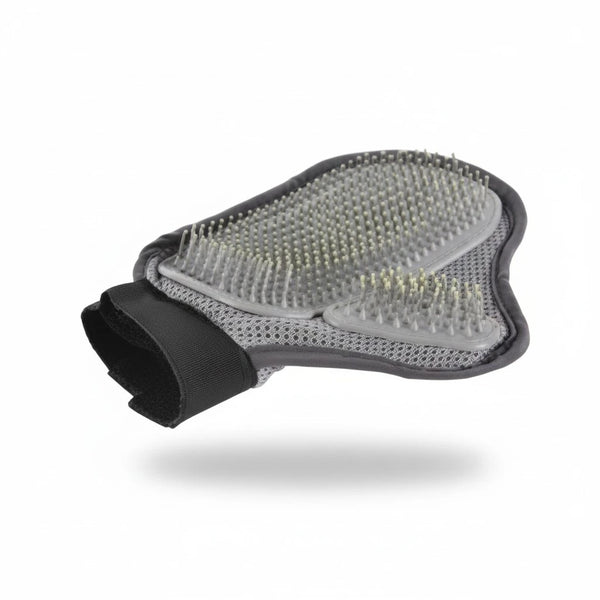 Gant Brosse Chien — vue 2